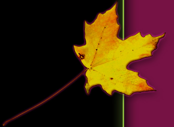 The Farm Tavern maple leaf The Farm Tavern maple leaf